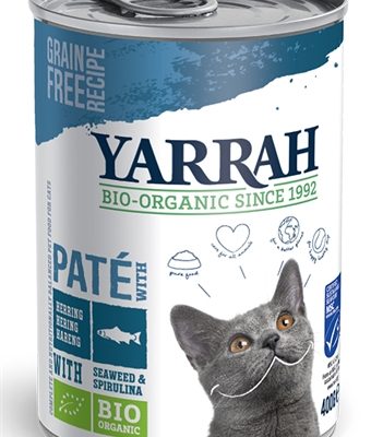 Yarrah cat blik pate vis
