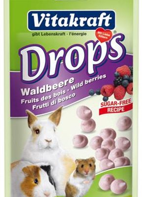 Vitakraft konijn bosvruchtendrops