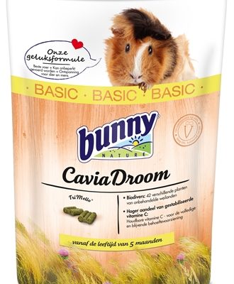 Bunny nature caviadroom basic