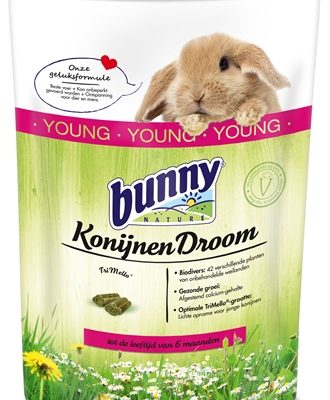 Bunny nature konijnendroom young
