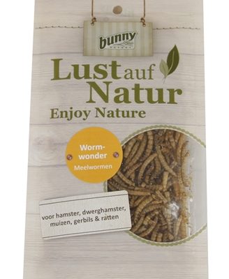 Bunny nature worm wonders meelwormen