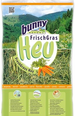 Bunny nature vers gras hooi met wortel