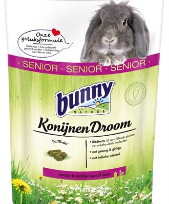 Bunny nature konijnendroom senior