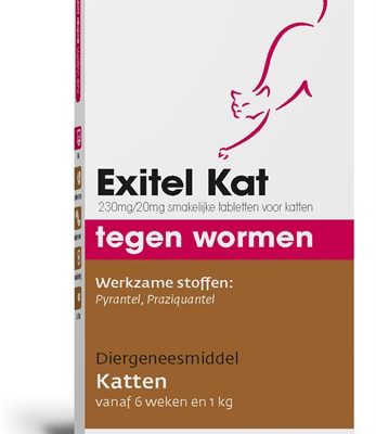 Exitel kat no worm