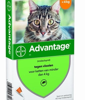 Bayer advantage kat 4 pipetten