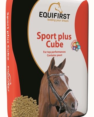 Equifirst sport plus cube