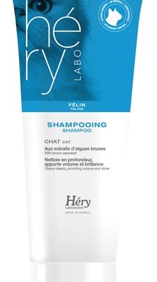Hery shampoo kat