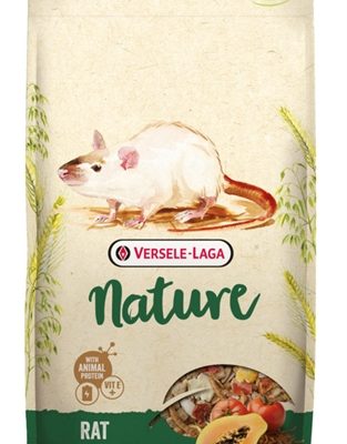 Versele-laga rat nature