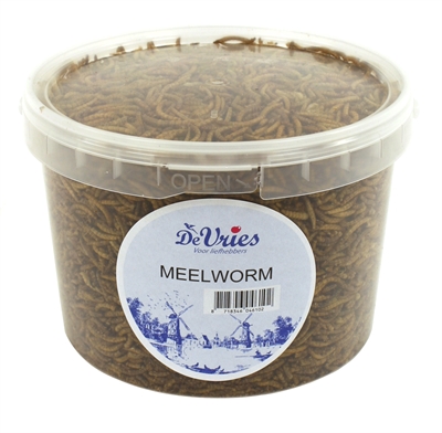 De vries meelworm