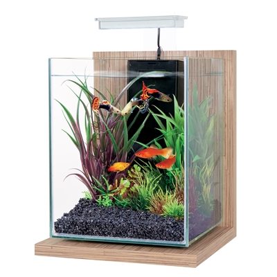 Zolux aquarium kit jalaya bamboo beige