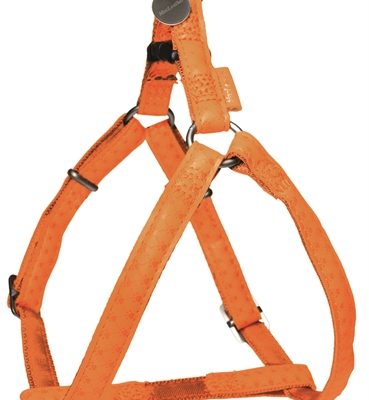 Macleather tuig oranje