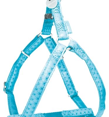 Macleather tuig blauw