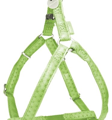 Macleather tuig groen