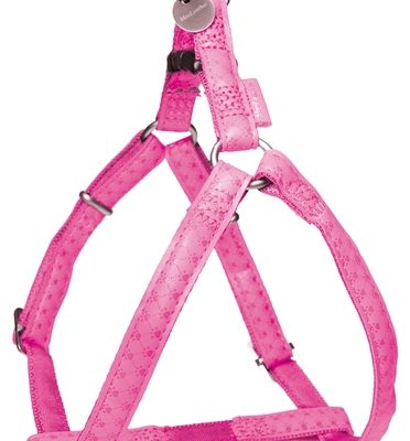 Macleather tuig roze