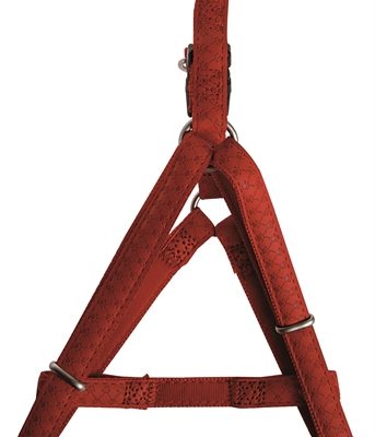 Macleather tuig rood