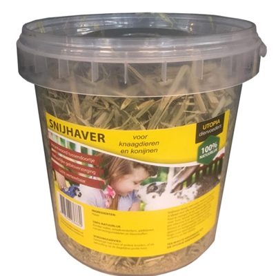Snijhaver