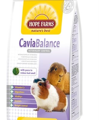 Hobbyfirst hopefarms guinea pig balance
