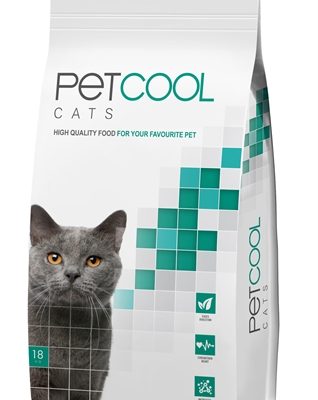 Petcool cat