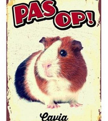 Plenty gifts waakbord blik cavia