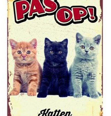 Plenty gifts waakbord blik katten
