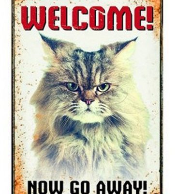 Plenty gifts waakbord blik grumpy cat