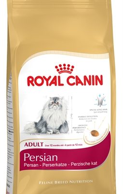 Royal canin persian