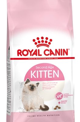 Royal canin kitten