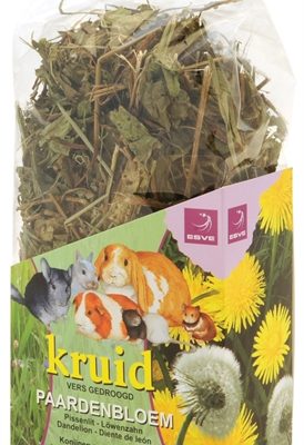 Esve kruid paardenbloem