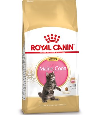 Royal canin kitten maine coon