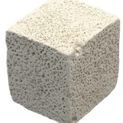 Happy pet chinchilla nibbling cube
