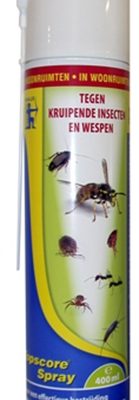 Topscore kruipende insect/wesp