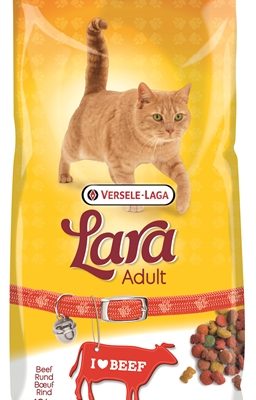 Lara kat adult rund