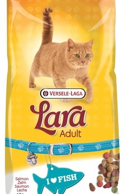 Lara kat adult zalm