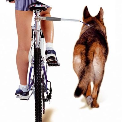 Camon walky dog fietsbeugel