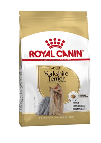 Royal canin yorkshire terrier
