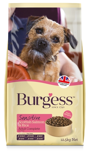 Burgess dog sensitive schotse zalm / rijst