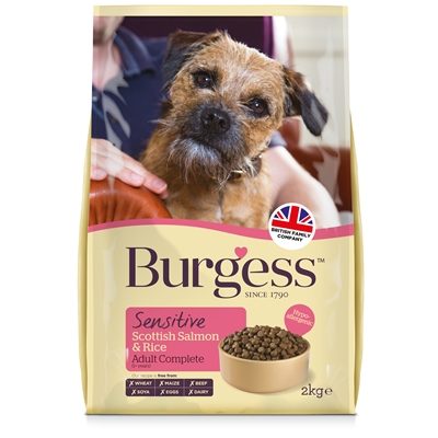 Burgess dog sensitive schotse zalm / rijst