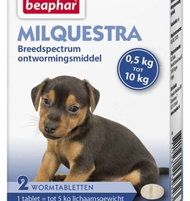 Beaphar milquestra kleine hond / pup