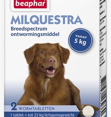 Beaphar milquestra hond