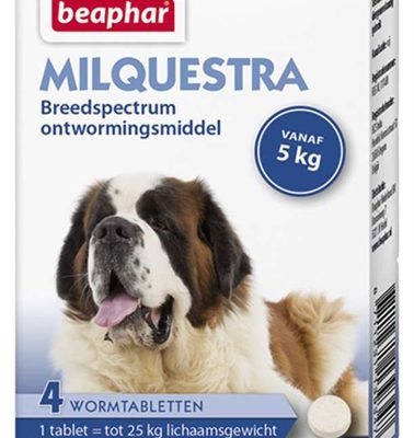 Beaphar milquestra hond