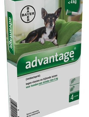 Bayer advantage hond 4 pipetten
