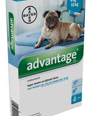 Bayer advantage hond 4 pipetten