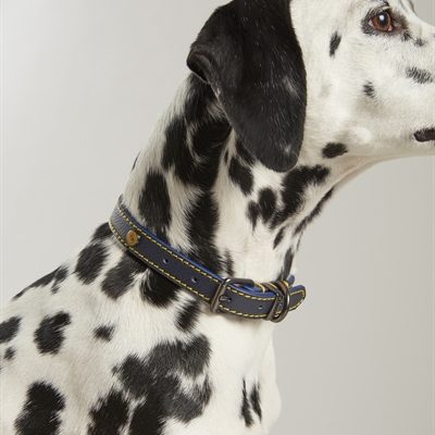 Joules halsband hond leer navy