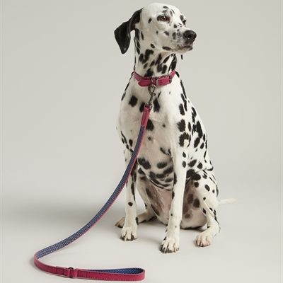 Joules hondenriem leer roze