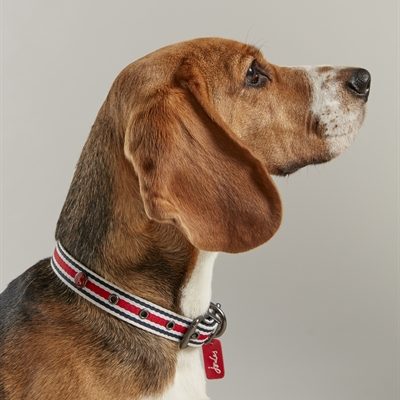 Joules halsband hond coastal gestreept rood