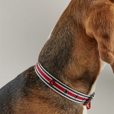Joules halsband hond coastal gestreept rood