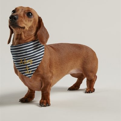 Joules halsband hond coastal nautical met halsdoek