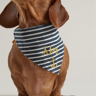 Joules halsband hond coastal nautical met halsdoek