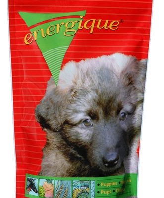 Energique nr 2 puppy