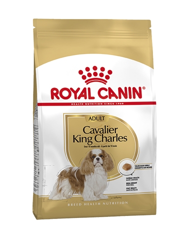 Royal canin cavalier king charles